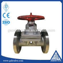 stainless steel manual PTFE diaphragm Valve